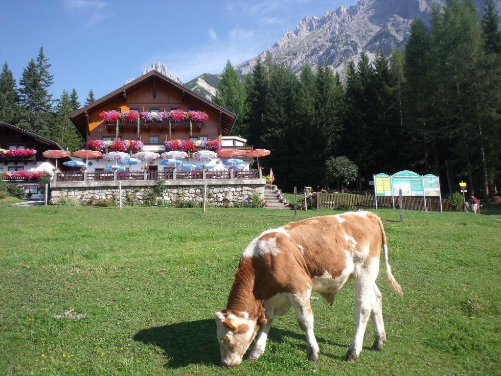 Готель Gasthof Edelbrunn Рамзау-ам-Дахштайн Екстер'єр фото